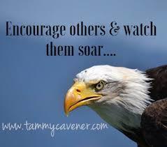 Encourage others and watch them soar picture with a bald eagle