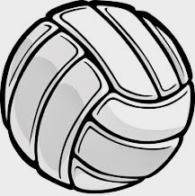 Graphic of volleyball 