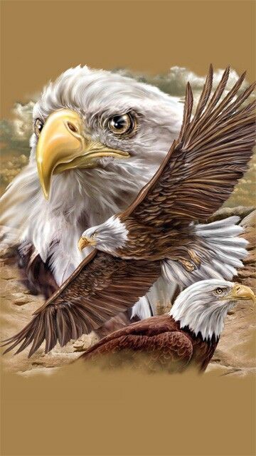 EAGLE