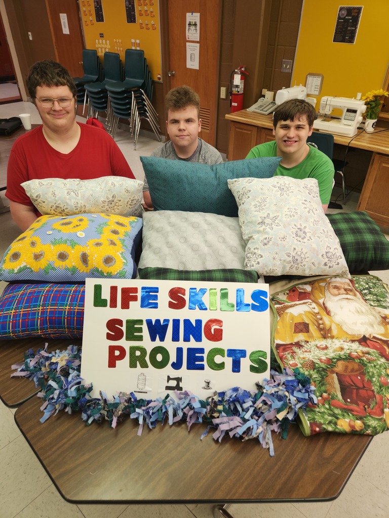 LIfe Skills Sewing Projects